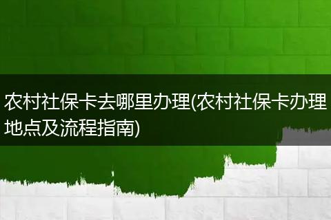 农村社保卡去哪里办理(农村社保卡办理地点及流程指南)