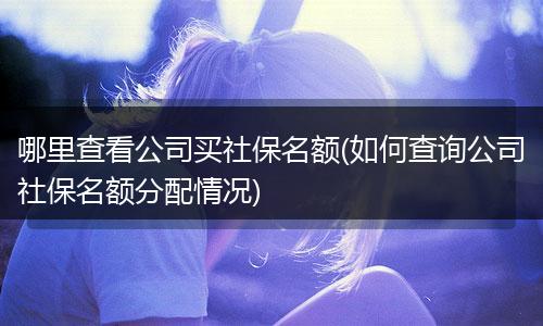 哪里查看公司买社保名额(如何查询公司社保名额分配情况)