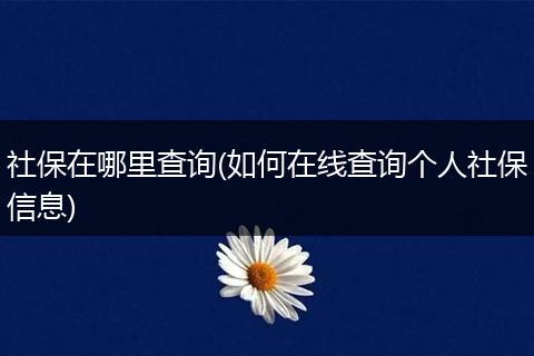 社保在哪里查询(如何在线查询个人社保信息)