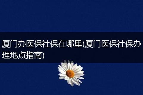 厦门办医保社保在哪里(厦门医保社保办理地点指南)