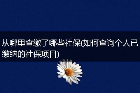 从哪里查缴了哪些社保(如何查询个人已缴纳的社保项目)