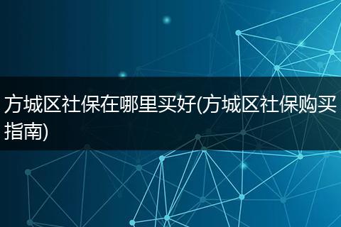 方城区社保在哪里买好(方城区社保购买指南)