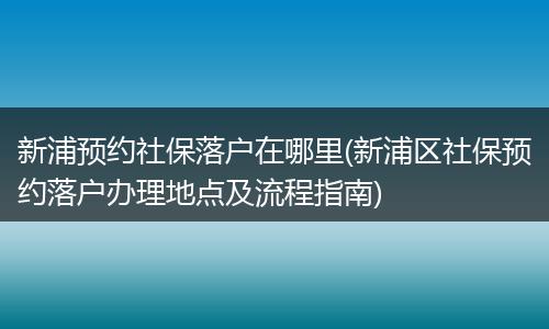 新浦预约社保落户在哪里(新浦区社保预约落户办理地点及流程指南)