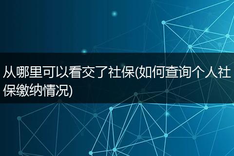 从哪里可以看交了社保(如何查询个人社保缴纳情况)