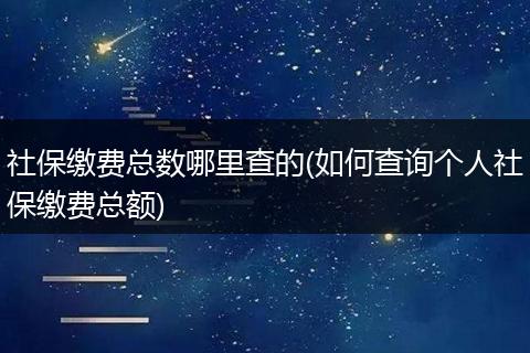 社保缴费总数哪里查的(如何查询个人社保缴费总额)