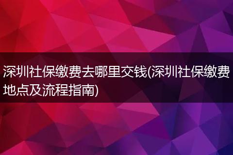 深圳社保缴费去哪里交钱(深圳社保缴费地点及流程指南)