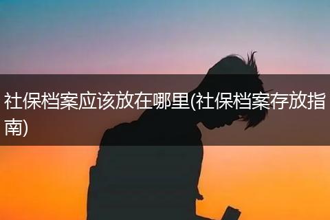 社保档案应该放在哪里(社保档案存放指南)