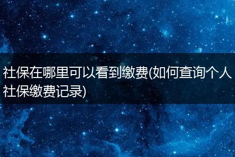 社保在哪里可以看到缴费(如何查询个人社保缴费记录)