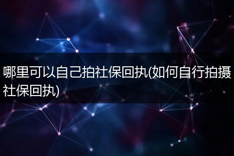 哪里可以自己拍社保回执(如何自行拍摄社保回执)