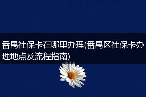 番禺社保卡在哪里办理(番禺区社保卡办理地点及流程指南)