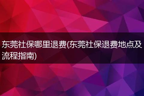 东莞社保哪里退费(东莞社保退费地点及流程指南)