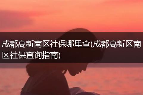 成都高新南区社保哪里查(成都高新区南区社保查询指南)