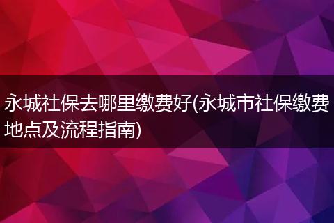永城社保去哪里缴费好(永城市社保缴费地点及流程指南)