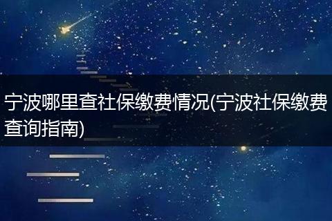 宁波哪里查社保缴费情况(宁波社保缴费查询指南)