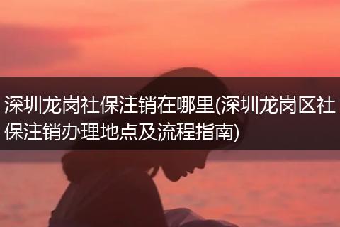 深圳龙岗社保注销在哪里(深圳龙岗区社保注销办理地点及流程指南)
