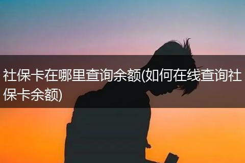 社保卡在哪里查询余额(如何在线查询社保卡余额)