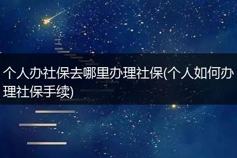 个人办社保去哪里办理社保(个人如何办理社保手续)