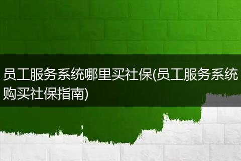 员工服务系统哪里买社保(员工服务系统购买社保指南)