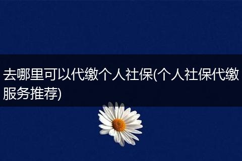 去哪里可以代缴个人社保(个人社保代缴服务推荐)