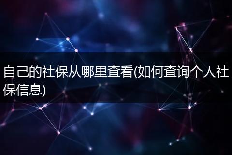 自己的社保从哪里查看(如何查询个人社保信息)