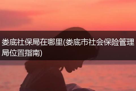 娄底社保局在哪里(娄底市社会保险管理局位置指南)