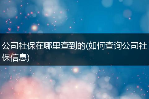公司社保在哪里查到的(如何查询公司社保信息)