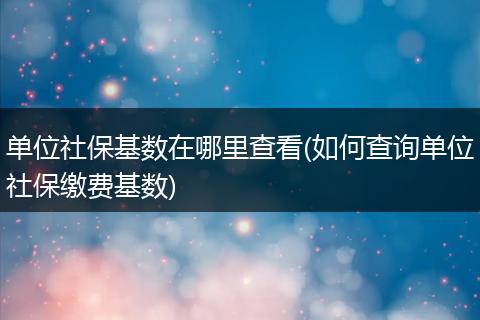 单位社保基数在哪里查看(如何查询单位社保缴费基数)