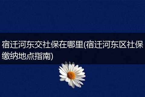 宿迁河东交社保在哪里(宿迁河东区社保缴纳地点指南)