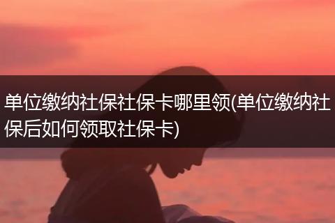 单位缴纳社保社保卡哪里领(单位缴纳社保后如何领取社保卡)