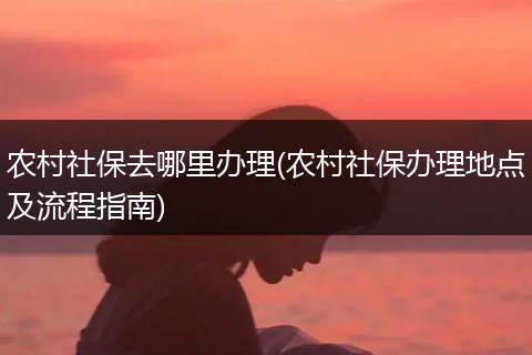 农村社保去哪里办理(农村社保办理地点及流程指南)