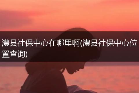 澧县社保中心在哪里啊(澧县社保中心位置查询)