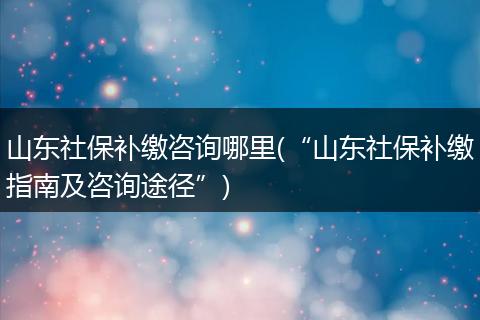 山东社保补缴咨询哪里(“山东社保补缴指南及咨询途径”)