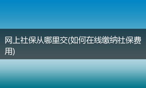 网上社保从哪里交(如何在线缴纳社保费用)