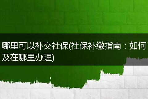 哪里可以补交社保(社保补缴指南：如何及在哪里办理)