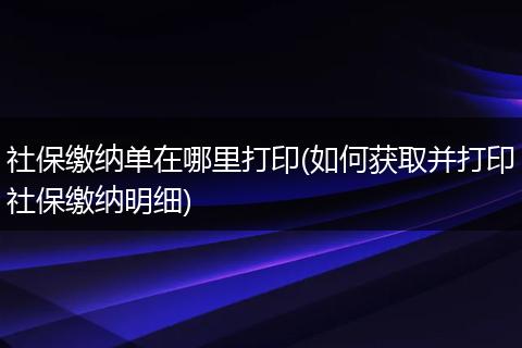 社保缴纳单在哪里打印(如何获取并打印社保缴纳明细)