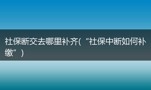 社保断交去哪里补齐(“社保中断如何补缴”)