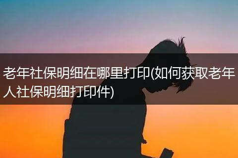 老年社保明细在哪里打印(如何获取老年人社保明细打印件)
