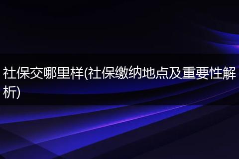 社保交哪里样(社保缴纳地点及重要性解析)
