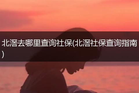 北滘去哪里查询社保(北滘社保查询指南)