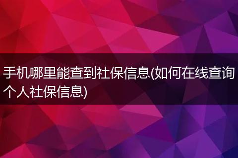 手机哪里能查到社保信息(如何在线查询个人社保信息)