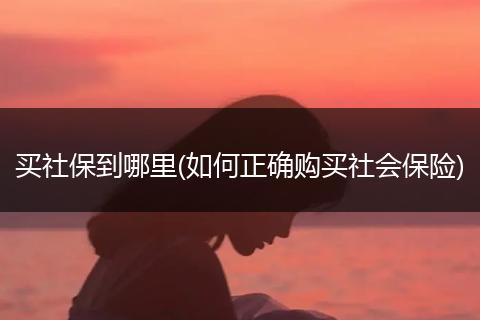 买社保到哪里(如何正确购买社会保险)