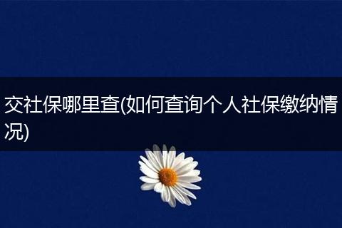 交社保哪里查(如何查询个人社保缴纳情况)