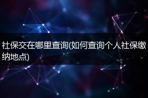 社保交在哪里查询(如何查询个人社保缴纳地点)