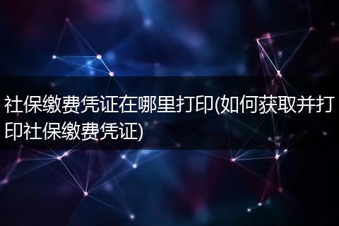 社保缴费凭证在哪里打印(如何获取并打印社保缴费凭证)