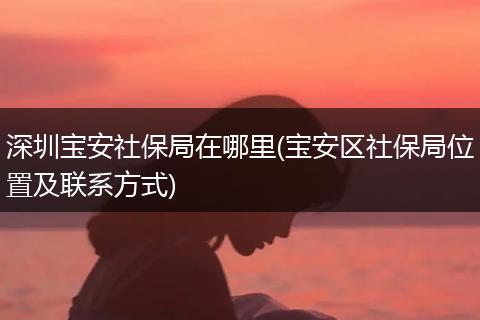 深圳宝安社保局在哪里(宝安区社保局位置及联系方式)
