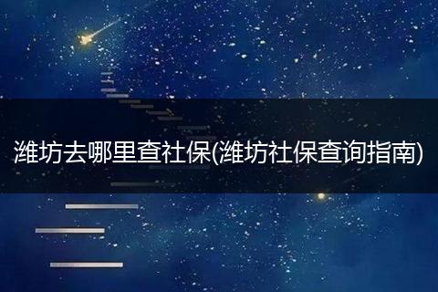 潍坊去哪里查社保(潍坊社保查询指南)