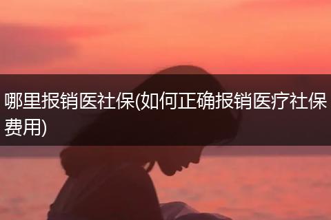 哪里报销医社保(如何正确报销医疗社保费用)