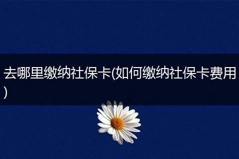 去哪里缴纳社保卡(如何缴纳社保卡费用)