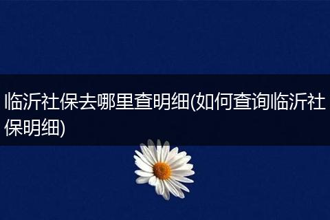 临沂社保去哪里查明细(如何查询临沂社保明细)