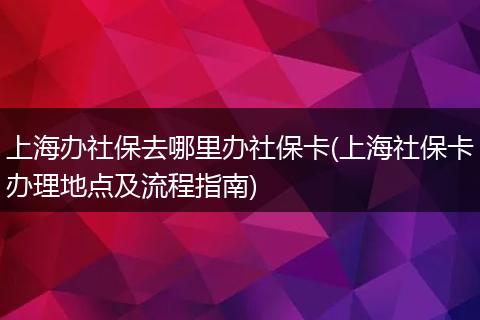 上海办社保去哪里办社保卡(上海社保卡办理地点及流程指南)